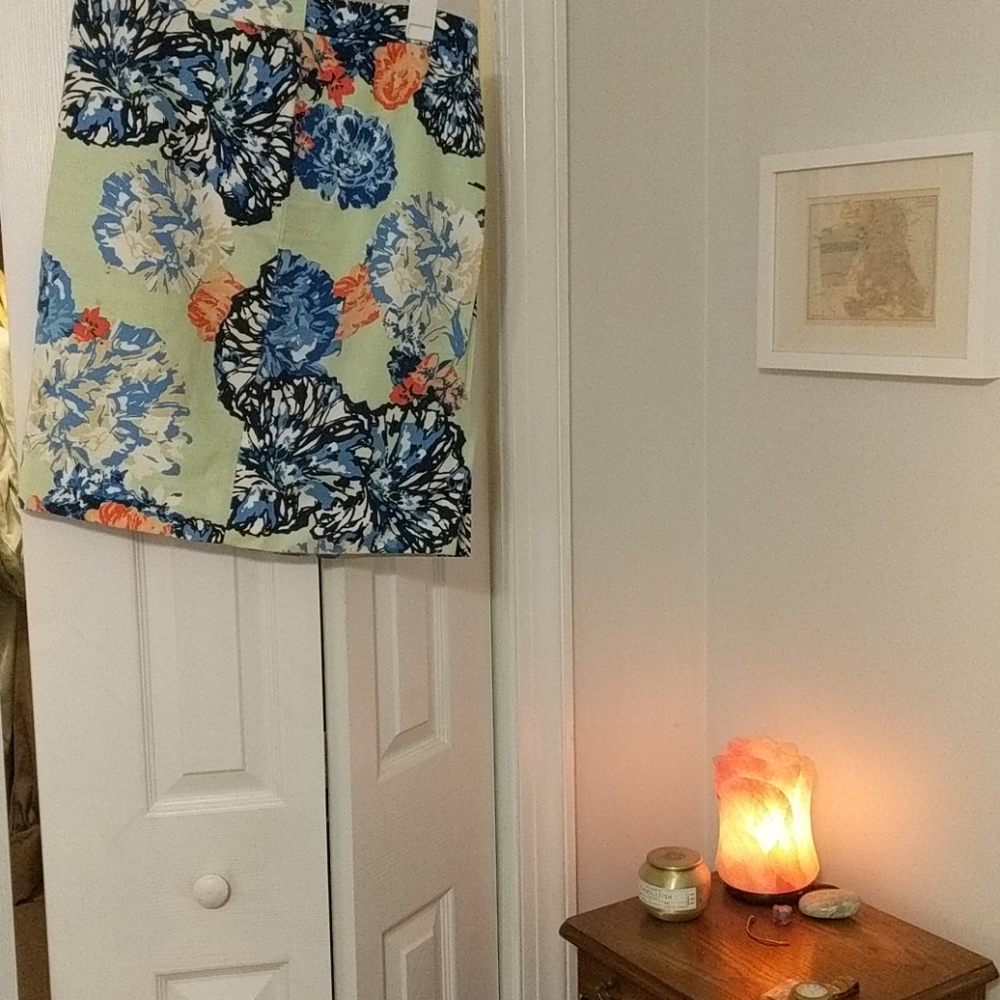 J Crew 'The Pencil Skirt' Tiffany Blue Floral